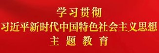 学习贯彻习近平新时代中国特色社会主义思想主题教育