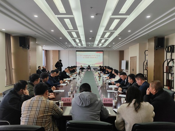 阜阳市工商联（总商会）与罗马尼亚中国企业联合总会举行座谈会