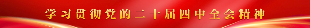 学习贯彻党的二十届四中全会精神