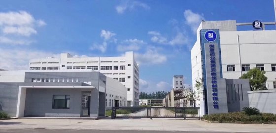 安徽恒顺信息科技有限公司